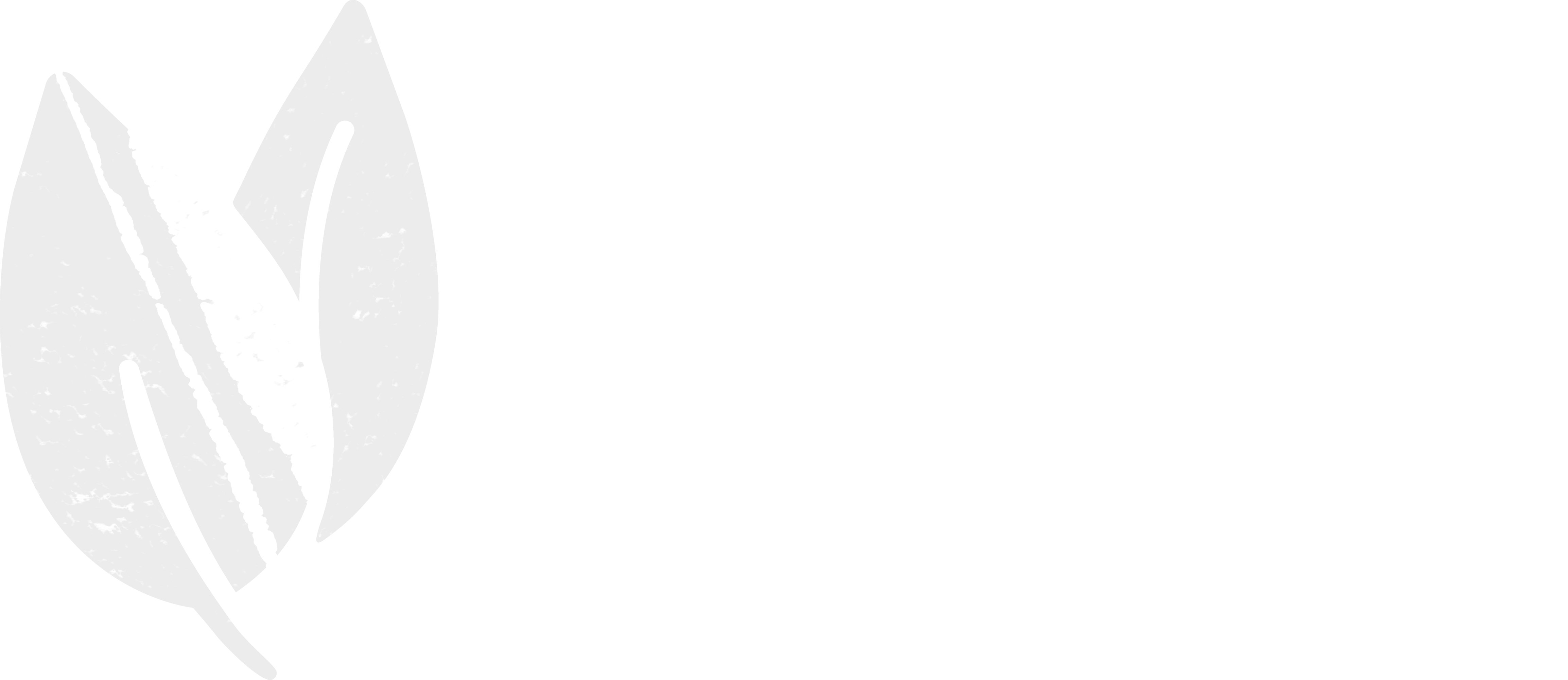 vegan